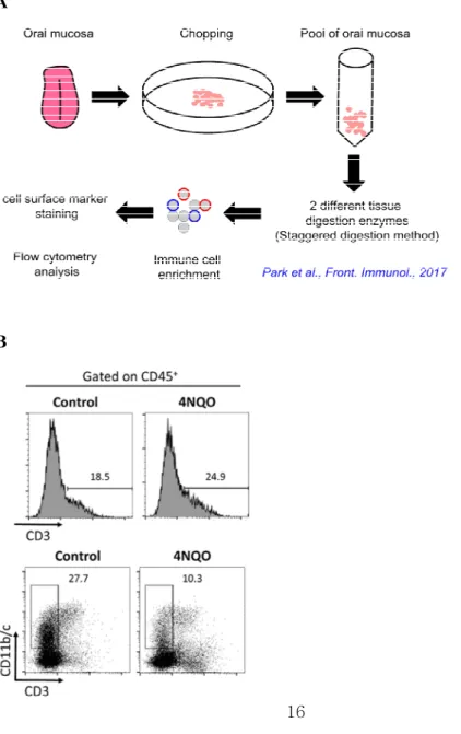 Figure 3. Analysis of immune cell subpopulations of oral mucosa TME by flow  cytometry