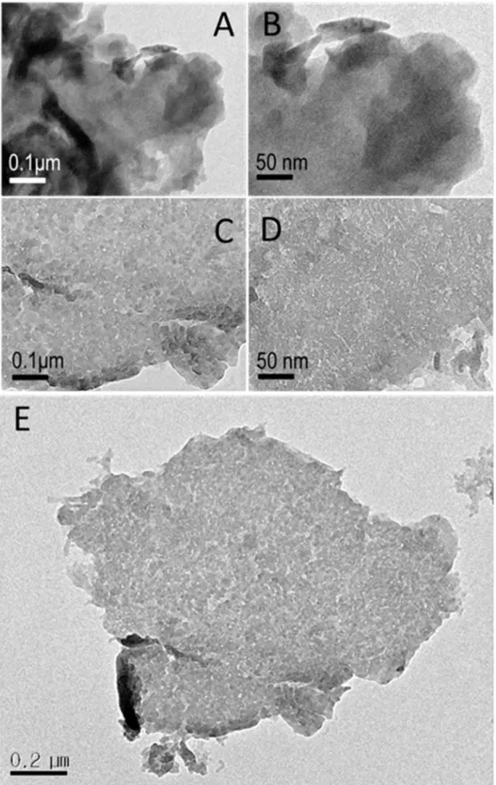 Figure 8: TEM images of TCb (A, B) and  TCp (C, D, E) with different magnification.  
