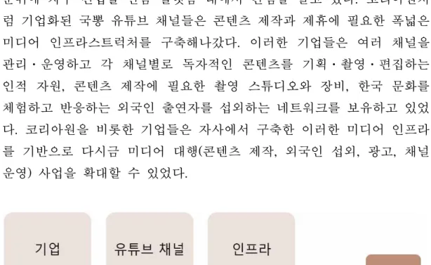 [그림 Ⅱ-1] 기업화된 국뽕 채널의 생산 인프라스트럭처