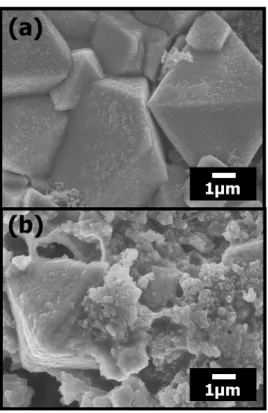 Figure  14.  FE-SEM images of the LiMn 2 O 4   electrode surfaces after storage  for 14 days (a); with Li foil, (b); without Li