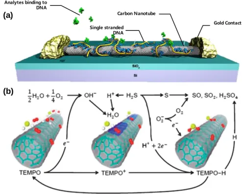 Figure  1.3  (a)  DNA  detecting  device  based  on  SWCNT  [10].  (b)  Chemical Reaction Mechanism between hydrogen sulfide (H 2 S) and  CNT [12]
