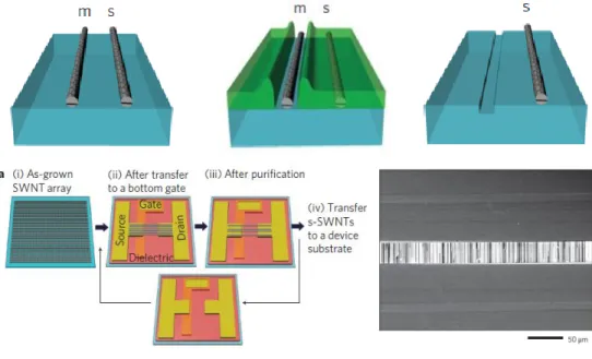 Figure  1.10  Acquisition  process  and  result  image  of  aligned  semiconducting SWCNT array using thermo-capillary flow method