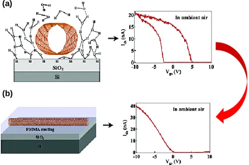 Figure  1.14  (a)  Oxygen,  water  molecules  and  chemical  functional  groups  around  the  nanotubes  and  interface