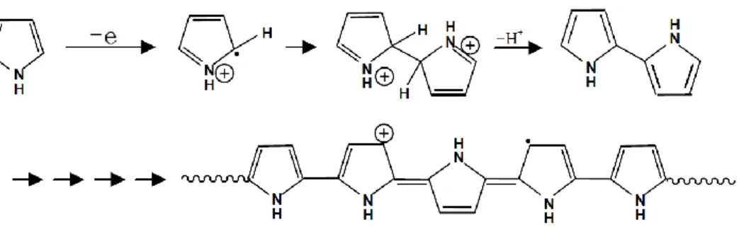 Figure 3. Molecular structure of the conductive PPy in a doping state with acceptor dopant (FeCl 3 )    and its polymerization mechanism [22].