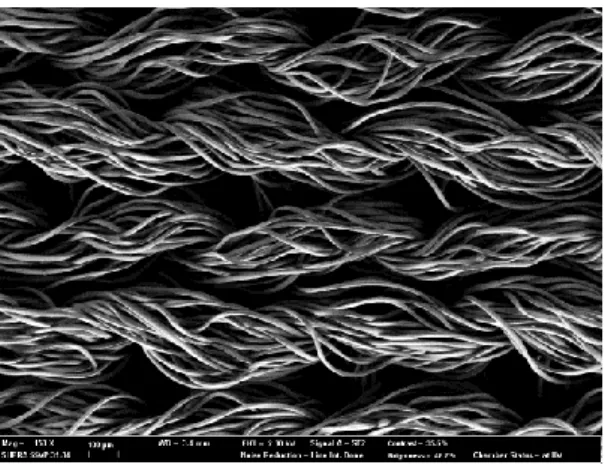 Figure 6.    SEM Image of untreated polyester knitted fabric.   