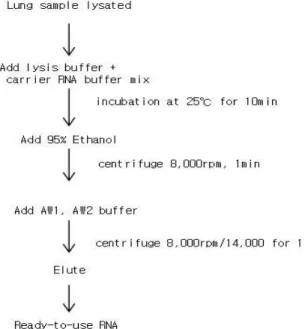 Fig 3. The process of extracting RNA from wild rodents lung tissue.