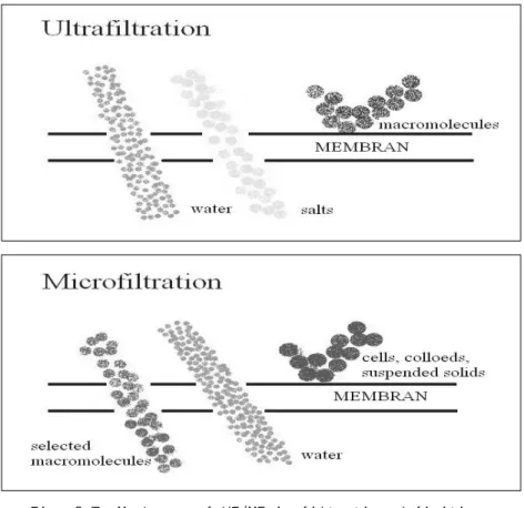 Fig. 2.7. Membrane of UF/MF in filtration definition.