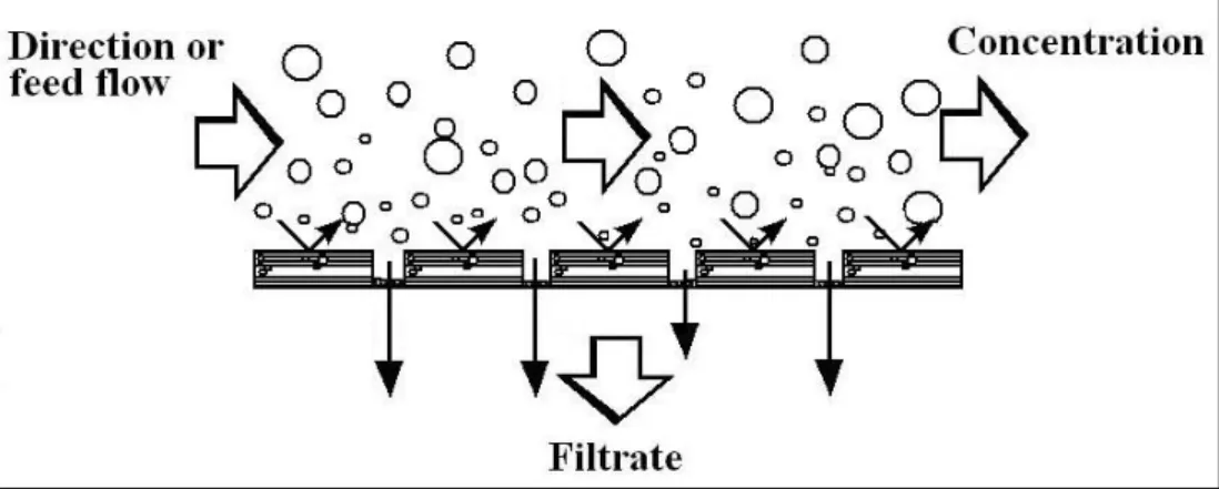 Fig. 2.14. Operation patten of typical cross flow fiber filtration.