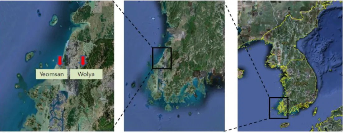 Fig.  1.  Location  of  Yeomsan  and  Wolya