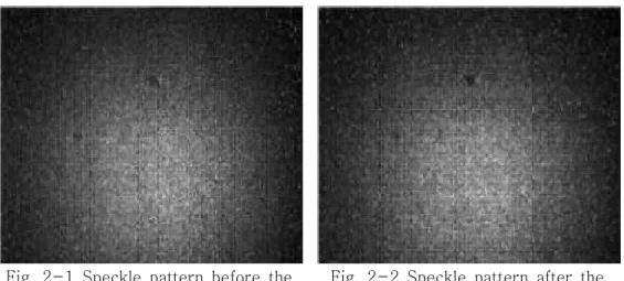 Fig.  2-1  Speckle  pattern  before  the  deformation