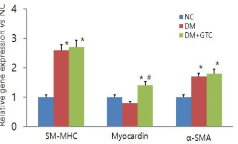 Fig. 4. Effect of green tea catechin on contractile proteins expression in VSMC of thoratic aorta of diabetic rats