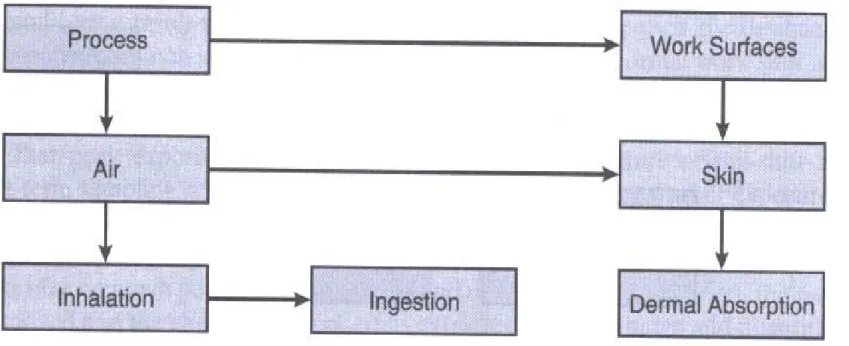 Fig. 6.2-1 Exposure pathway model