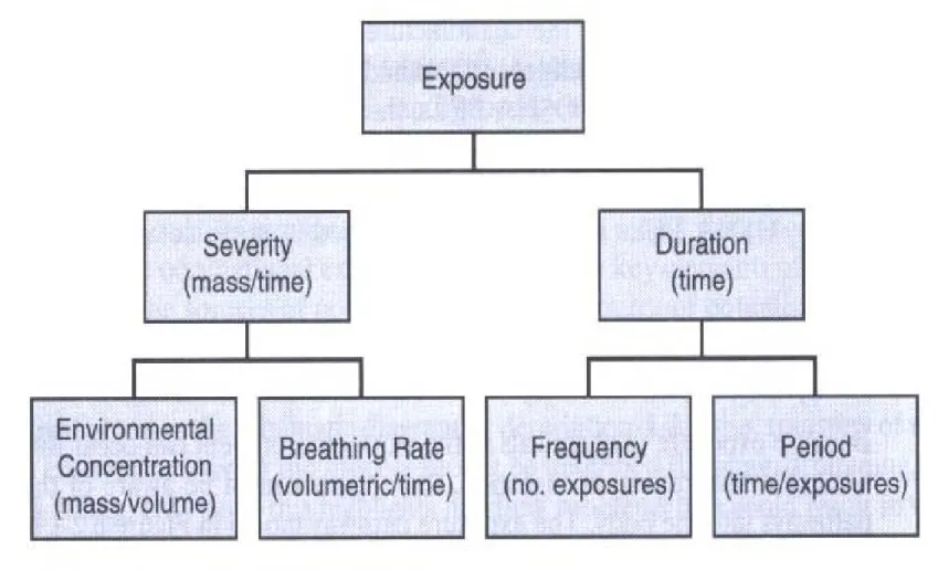 Fig. 6.2-2 Inhalation exposure framework