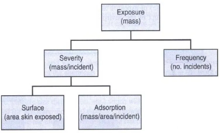 Fig 6 2-3 Dermal exposure frameworkFig. 6.2 3 Dermalexposure framework