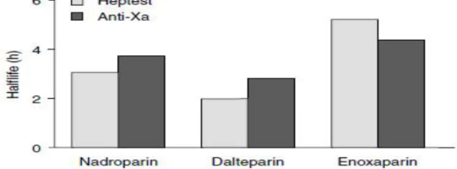 Figure 1. Low-Molecular-Weight Heparin의 반감기 비교