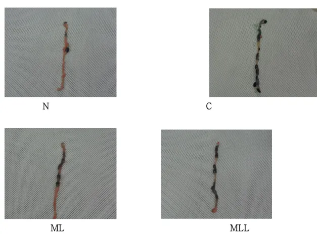 Fig. 3.  Effect  of  mulberry  leaf  powder  containing  the  lactic  acid  bacteria  on  number  of  fecal  pellets  in  loperamide-induced  rat  colon  for  5  days