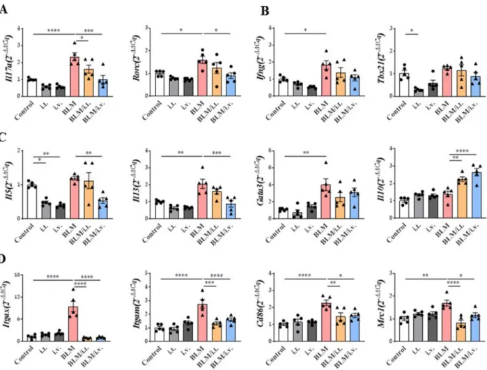 Fig. 7  Changes in macrophage subtype activation by MSCs in a murine fibrosis model. A The number of lung macrophages