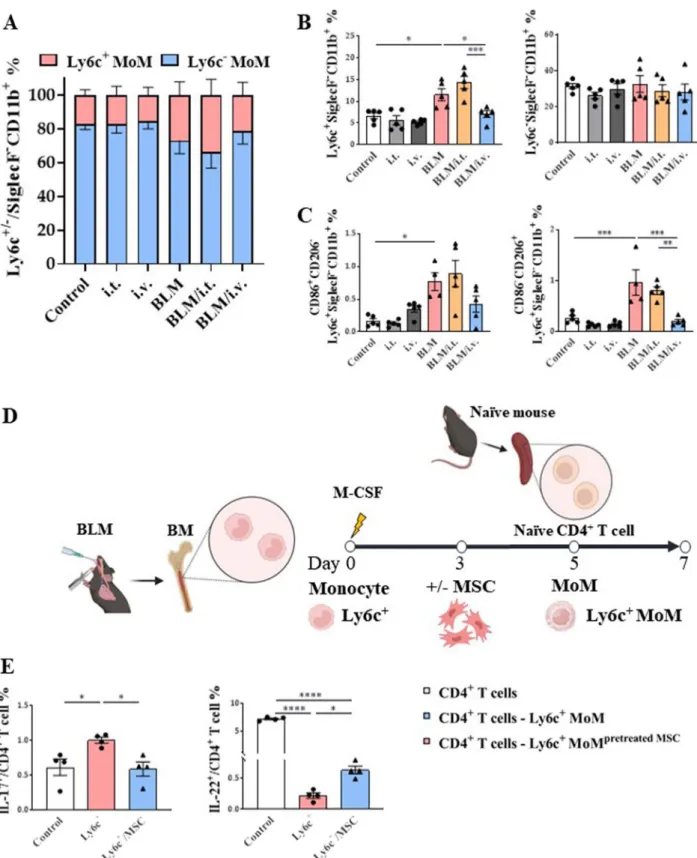 Fig. 8  Regulatory effect of MSCs on in vivo and ex vivo  Ly6c + / –  macrophages activation