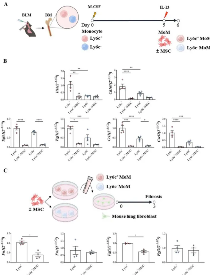 Fig. 9  (See legend on previous page.)