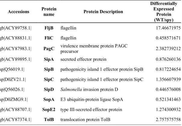 Table 3. Flagellin and SPI-1secreted proteins identified by proteomics analysis  of WT and spy::cm mutant cultured under SPI-1 condition.