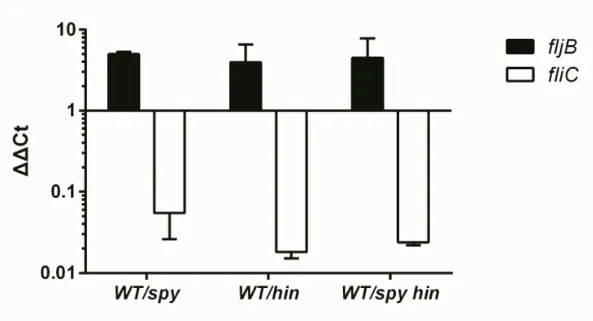 Figure 6. Transcription level of fljB and fliC genes in WT, spy, hin and  spy hin double mutants.