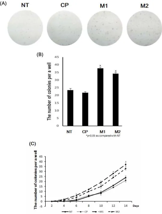 Figure  3.  (A,  B)  To  investigate  how  many  colonies  emerged,  an  alkaline  phosphatase  (ALP)  staining  assay  was  performed  after  peptide  treatment  for  14  days
