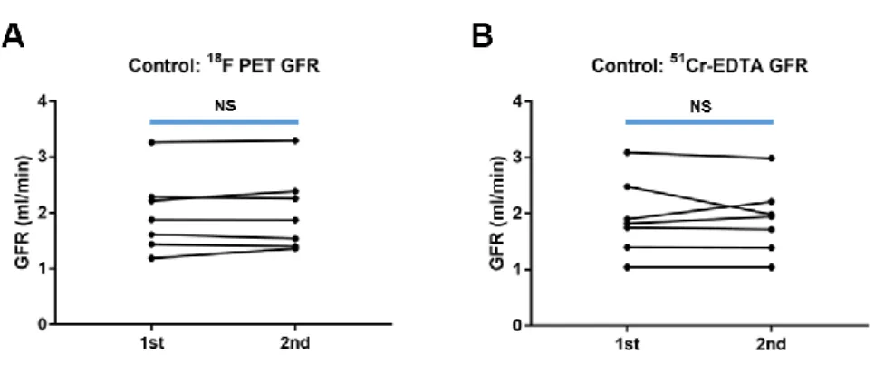 FIGURE 8. GFR change in control rats. (A) GFR F-PET  and (B) GFR CrEDTA . NS: 