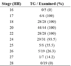 Table 1 The number of samples examined. The “TG/ Examined (%)” column means the number of samples  where tailgut was observed per the number of the chick embryos examined in the designated stages