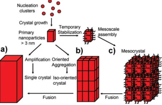 Figure  1.2 Schematic  representation  of  classical  and  non-classical  crystallization
