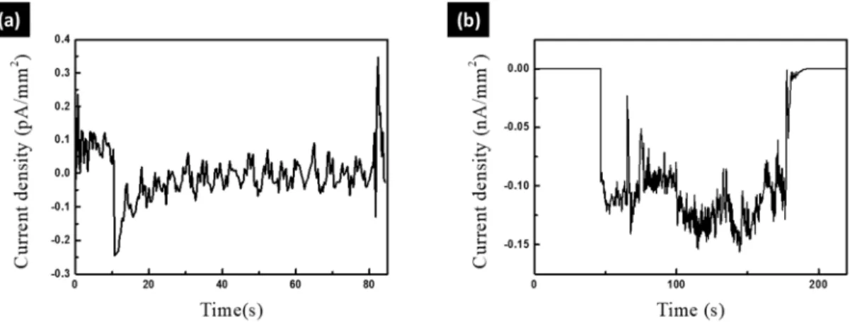 Figure 2.3 Current density by (a) N 2 gas and (b) nonfractured Al 2 O 3