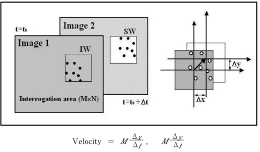 Fig.  4  Velocity  vector  calculated  from  a  displacement                                  of  a  small  sub-region  and  known  time  Δ