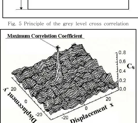 Fig.  6  Maximum  cross  correlation  coefficient.