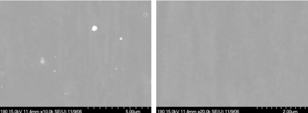 Fig.  11.  SEM  micrographs  showing  coating  surface  of  each  group                 (Left  :  ⨯ 10000,  Right  :  ⨯ 20000) 