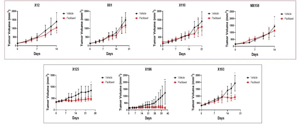 Figure 1. Response to paclitaxel in seven TNBC PDX models  in-vivo . Seven PDX models were established from a single patient’s  primary or recurrent tumor