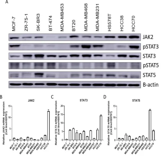 Figure  5.  Tendency  of  mRNA  and  protein  expression  levels  of  JAK2,  STAT3 and STAT5 in 11 breast cancer cell lines
