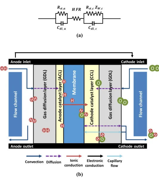 Figure 1.1 (a) Electrical equivalent circuit for a simple PEM fuel cell impedance  model