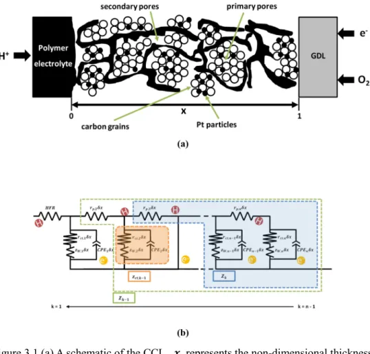 Figure 3.1 (a) A schematic of the CCL.    represents the non-dimensional thickness  of the CCL from CCL/GDL interface ( = ) to the PEM/CCL interface  ( = )