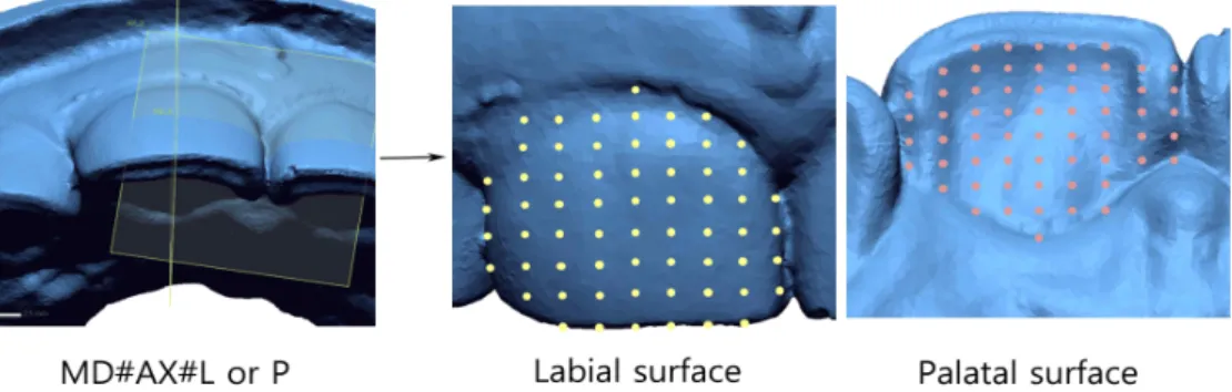 Fig. 3. Coordinates of labial and palatal surface of maxillary primary central and lateral teeth.