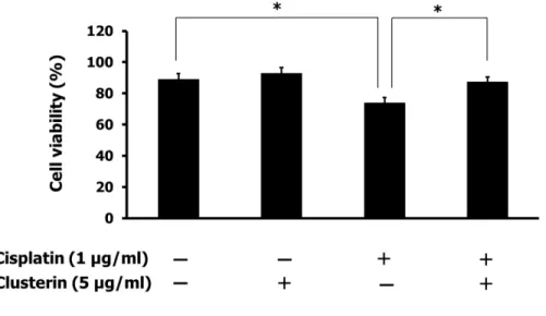 Fig. 5. Effect of exogenous clusterin on chemoresistance. Four hours prior  to cisplatin treatment, SNUOT-Rb1 cells  were treated with  5  µg/ml of  clusterin