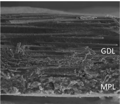 Figure 6. A cross-sectional SEM image of GDL A 