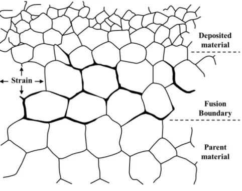 Fig. 2.6 Schematic illustration of liquation cracking at the fusion line[44, 45]