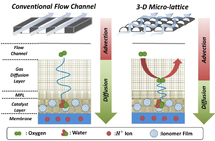 Figure 1.2 A schematic representation of advection in the diffusion media