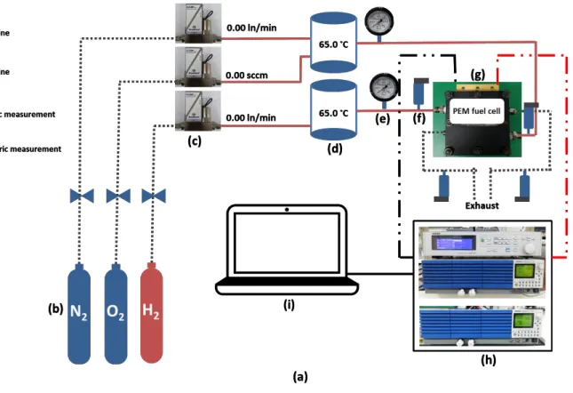 Figure 2.4 (a) A schematic of newly designed PEM fuel cell test station used to conduct the experiments