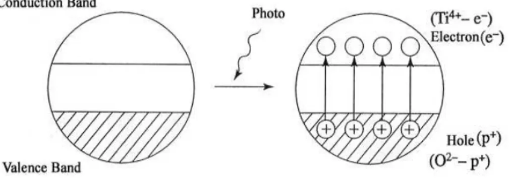 Fig.  6 Schematic  diagrams  of  hole  and  electron