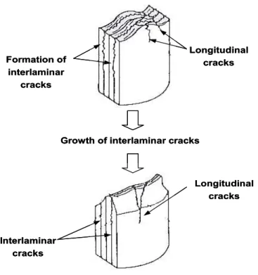 Fig.  3  Crushing  characteristics  of  transverse  shearing  crushing  mode
