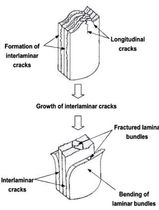 Fig.  7  Crushing  characteristics  of  brittle  fracturing  crushing  mode