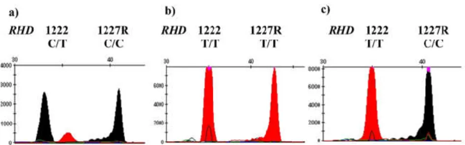 Figure  3.  Multiplex  single-base  primer  extension  reaction  of  RHD.  a)  RHD  (c.1222T&gt;C) DEL have both C and T peaks on the site of 1222