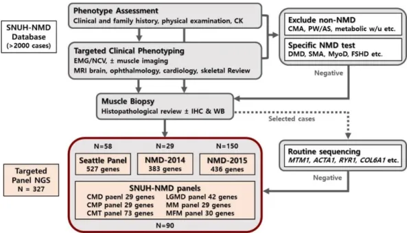 Figure 1. Flowchart of the diagnostic workflow with NGS application 