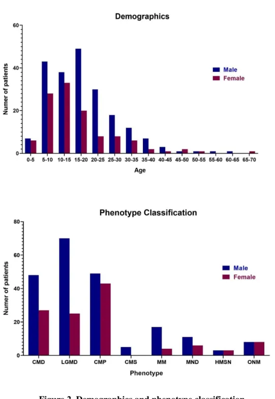 Figure 2. Demographics and phenotype classification 