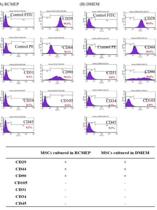 Figure 6. Cell surface staining of ASCs. FACS analysis detecting CD29, CD44, CD90,  CD105, CD31, CD34 and CD45 antigen expression of ASCs cultured in (A) RCMEP  (B) DMEM